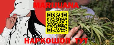 сатива Нальчик
