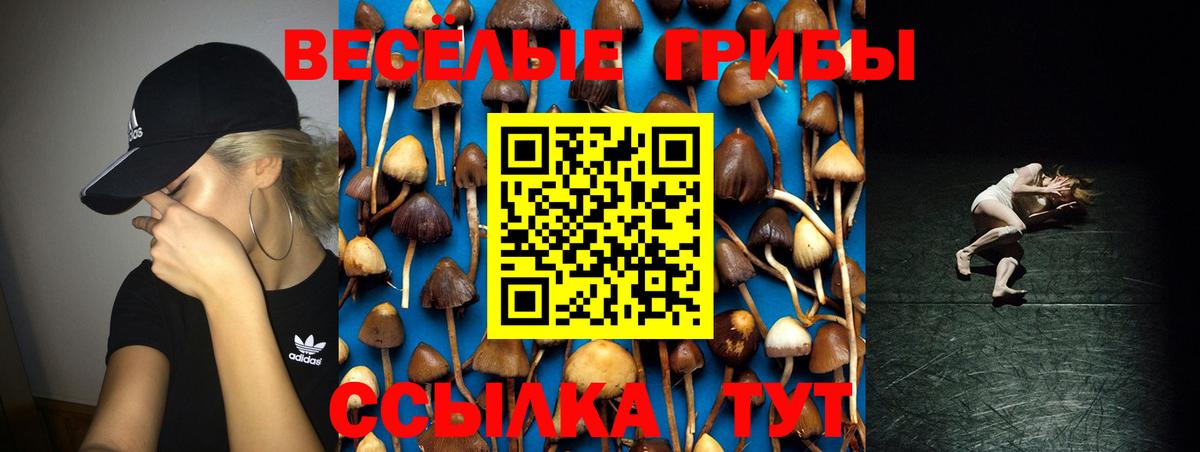 Псилоцибиновые грибы MAGIC MUSHROOMS  Галлюциногенные грибы ЛСД  Вход с VPN  Фролово 