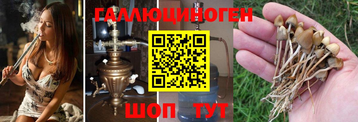 Псилоцибиновые грибы MAGIC MUSHROOMS Фролово